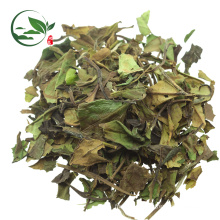 Fresh Organic Chinese Pai Mu Tan White Tea